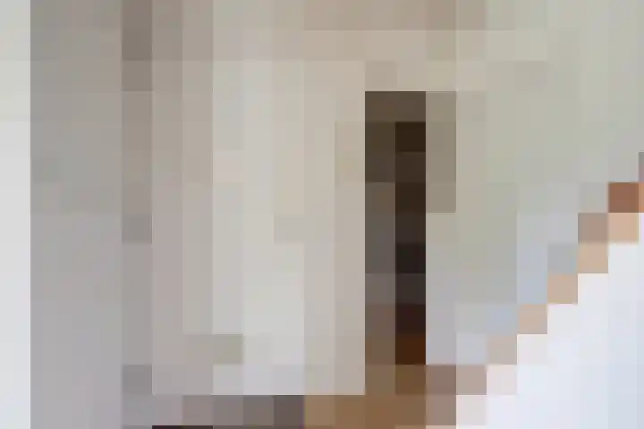 Van Middachtenweg 12 Doesburg thumbnail 15