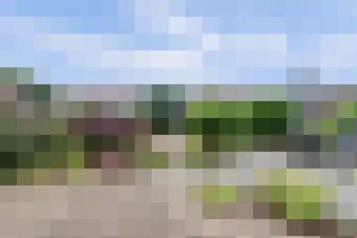 Van Middachtenweg 12 Doesburg thumbnail 32