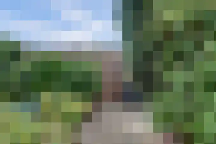 Van Middachtenweg 12 Doesburg thumbnail 35