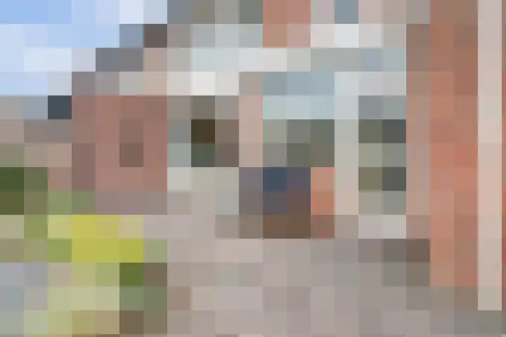 Van Middachtenweg 12 Doesburg thumbnail 37