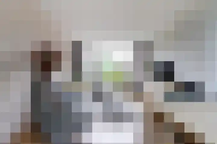 Van Middachtenweg 12 Doesburg thumbnail 4