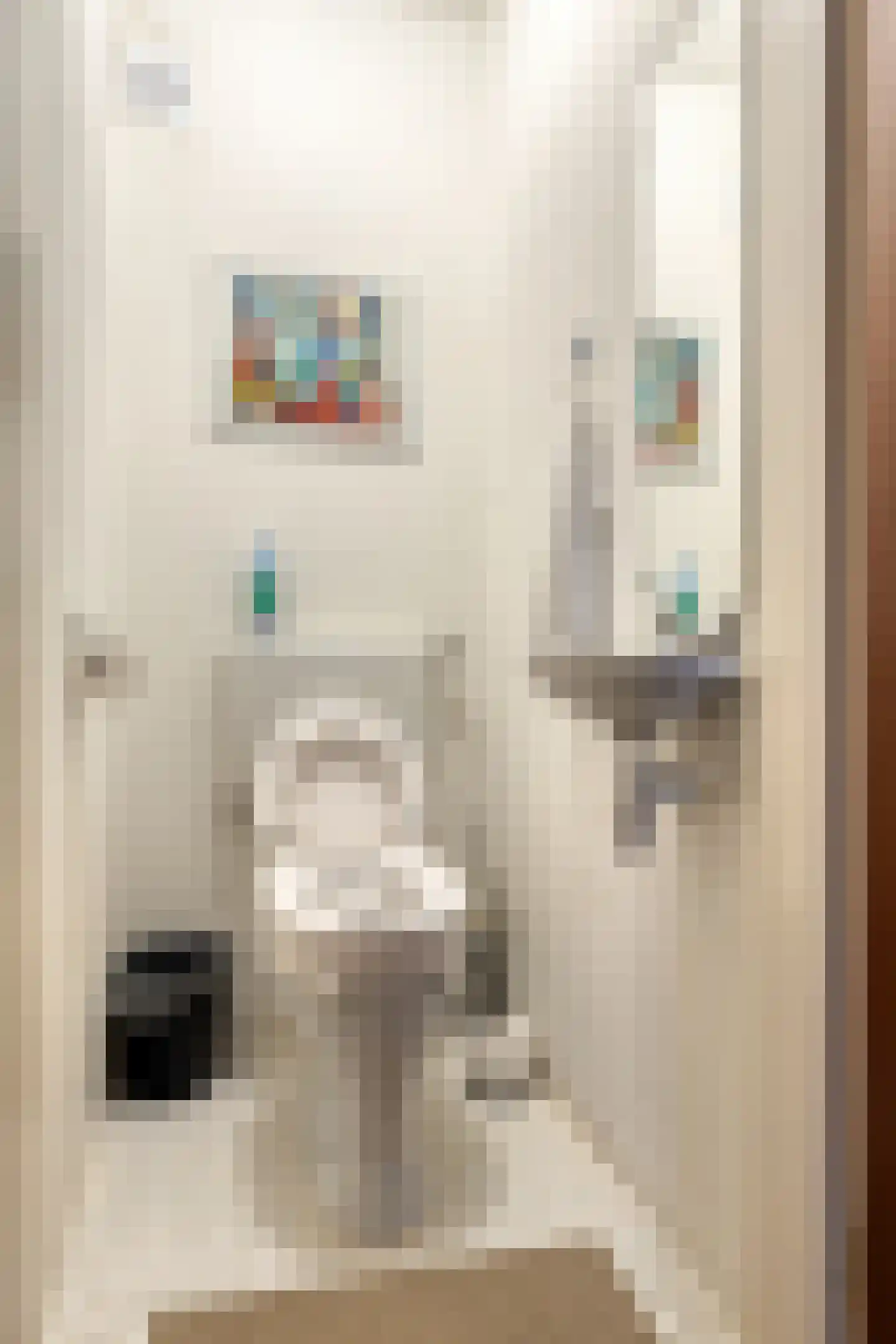 van Middelhovenstraat 107 Axel thumbnail 15