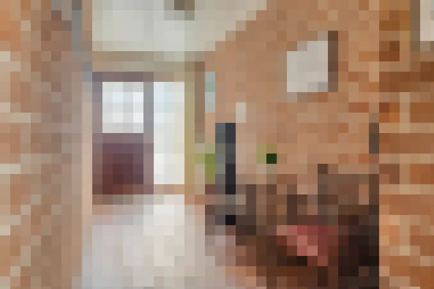 van Middelhovenstraat 107 Axel thumbnail 5