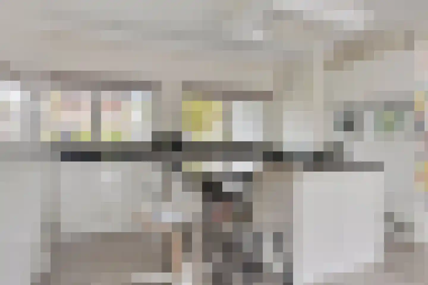 van Middelhovenstraat 38 Axel thumbnail 10
