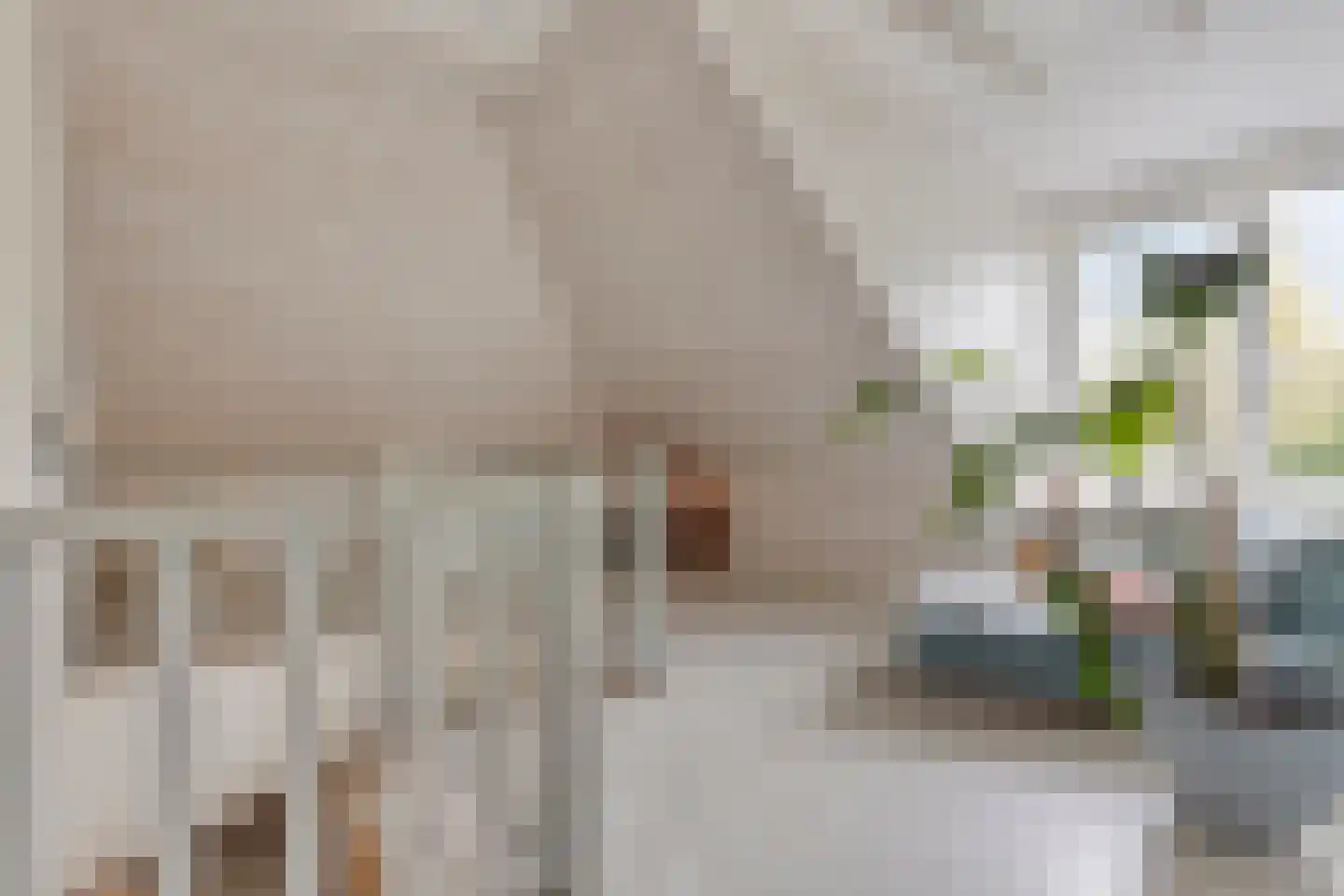 van Middelhovenstraat 38 Axel thumbnail 22