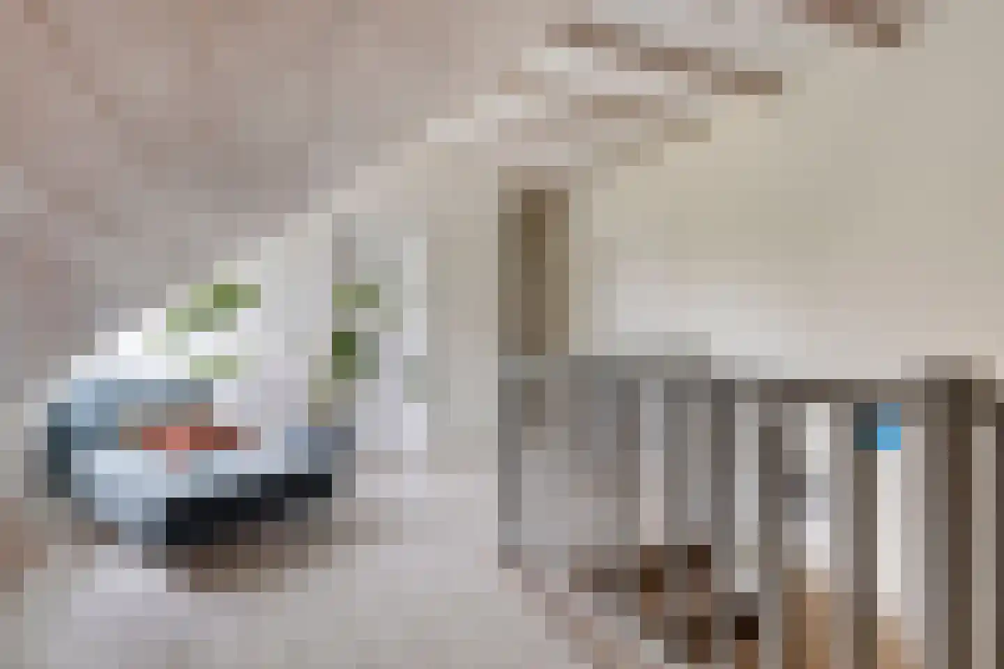 van Middelhovenstraat 38 Axel thumbnail 23