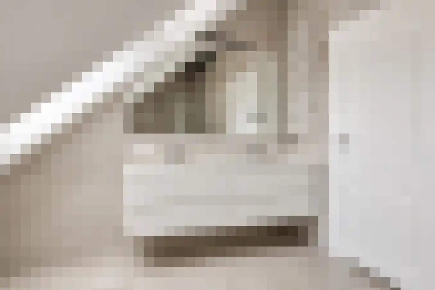 van Middelhovenstraat 38 Axel thumbnail 27