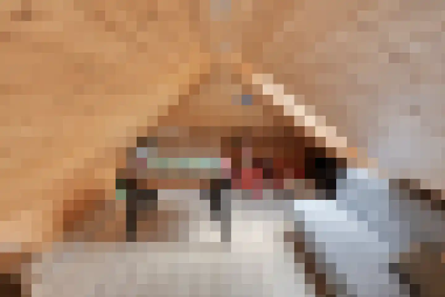 van Middelhovenstraat 38 Axel thumbnail 34