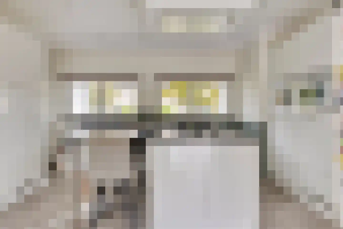 van Middelhovenstraat 38 Axel thumbnail 9