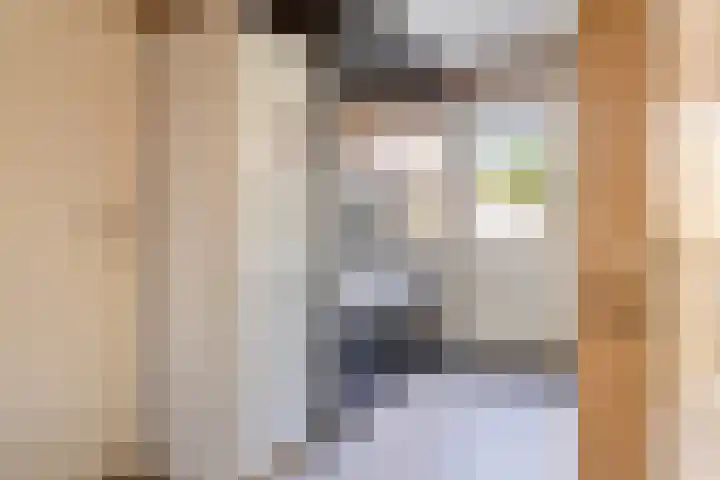 van Middelhovenstraat 41 Axel thumbnail 11