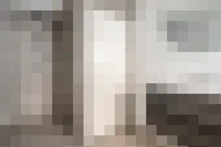 van Middelhovenstraat 41 Axel thumbnail 21