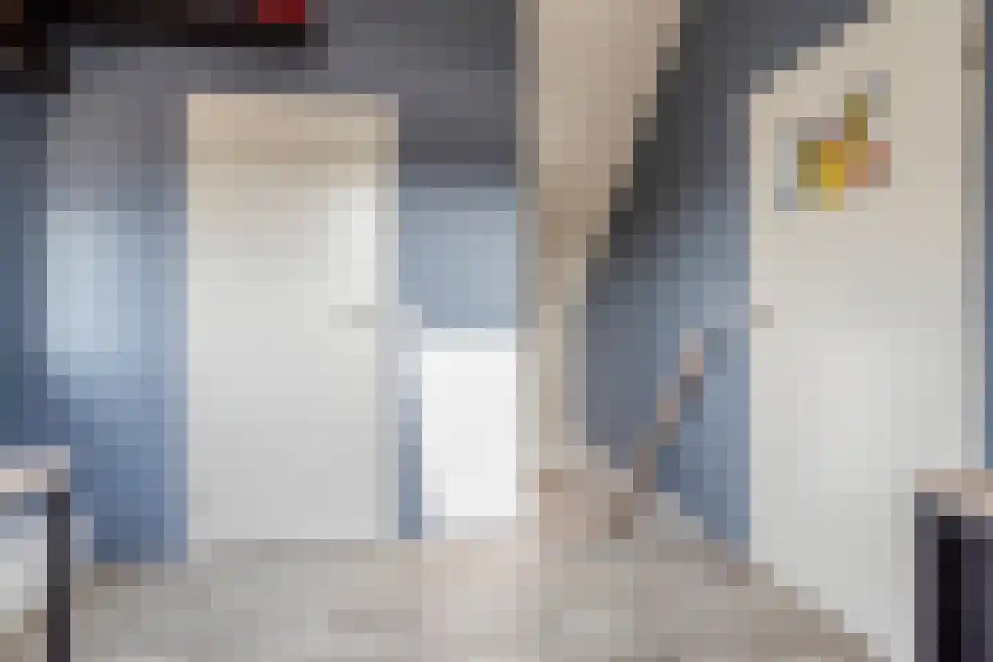 van Middelhovenstraat 41 Axel thumbnail 26