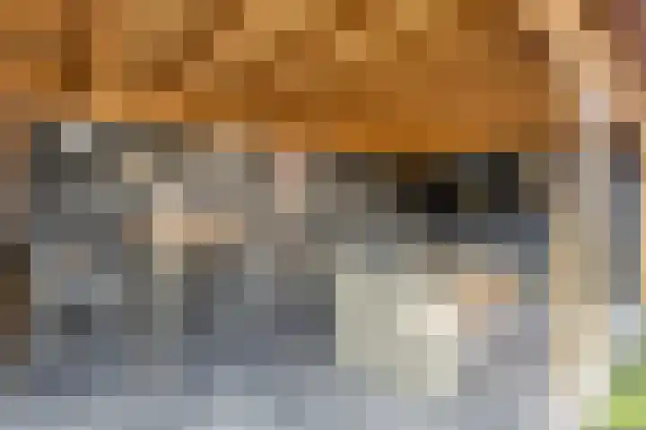 van Middelhovenstraat 41 Axel thumbnail 30