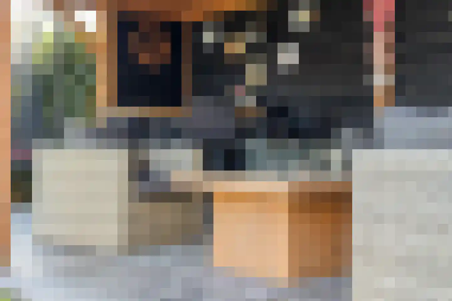 van Middelhovenstraat 41 Axel thumbnail 31