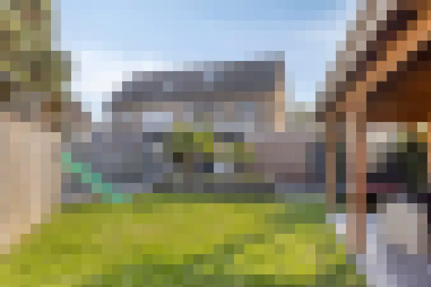 van Middelhovenstraat 41 Axel thumbnail 32