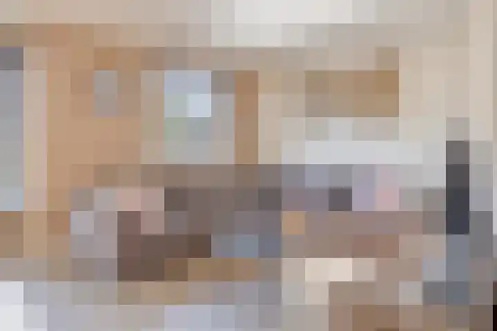 van Middelhovenstraat 41 Axel thumbnail 4