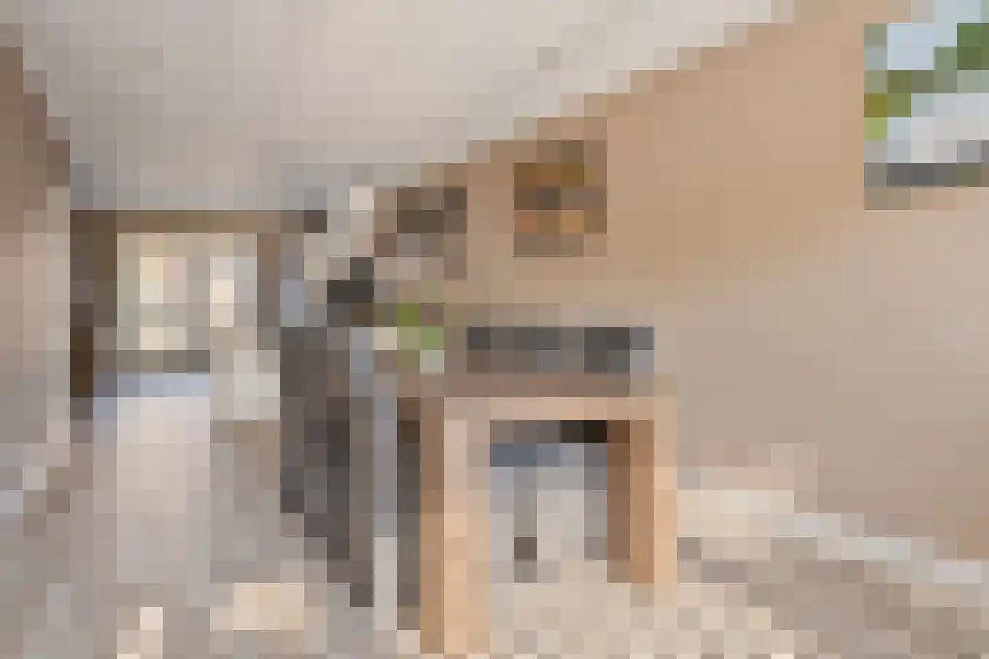 van Middelhovenstraat 41 Axel thumbnail 6