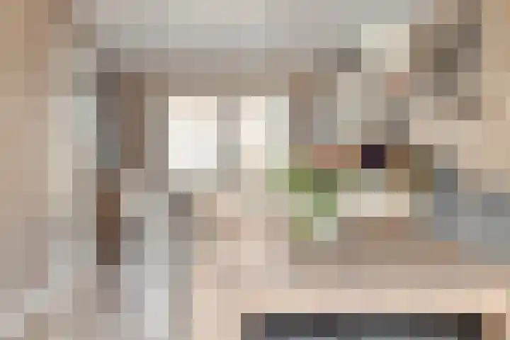 van Middelhovenstraat 41 Axel thumbnail 7