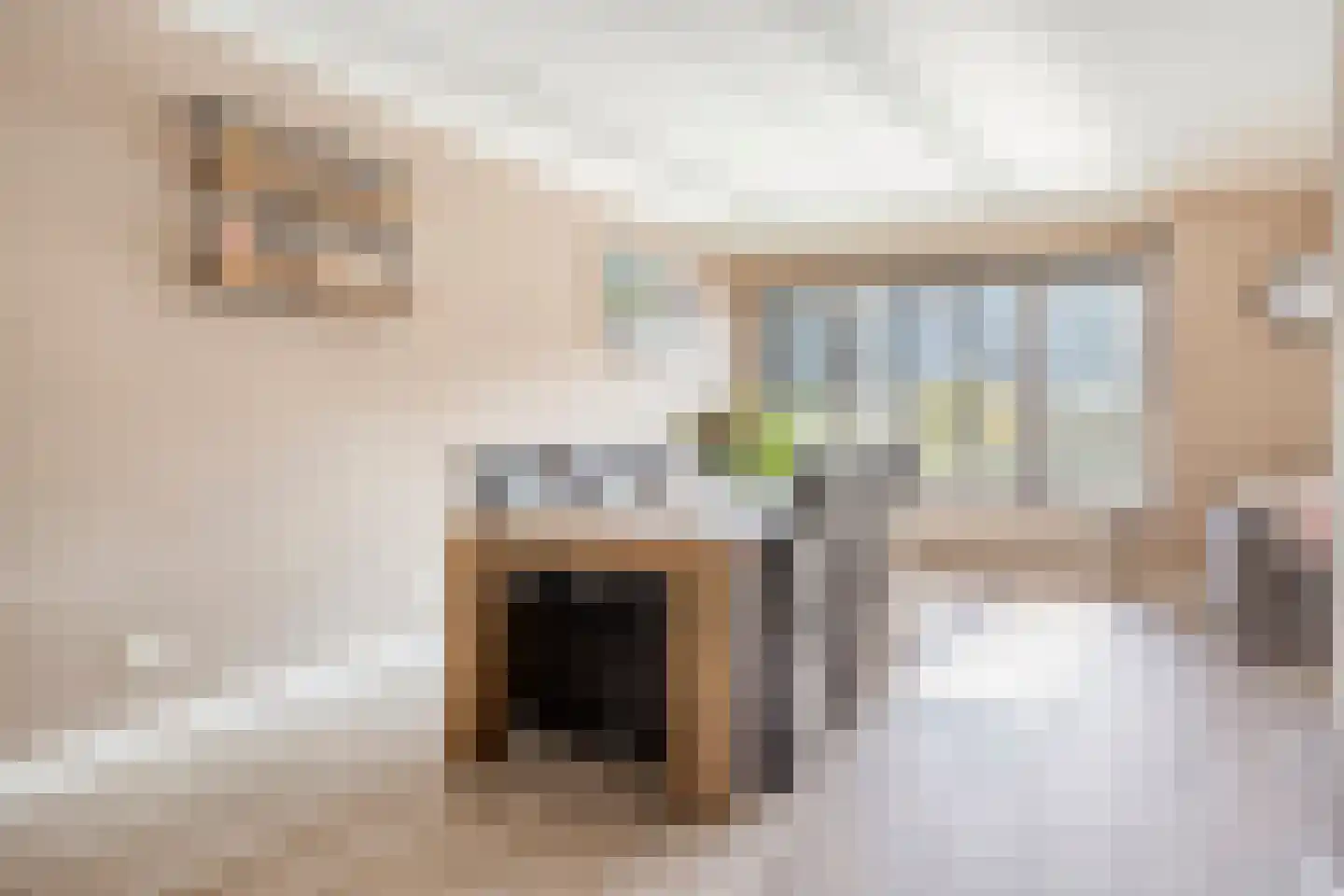 van Middelhovenstraat 41 Axel thumbnail 7