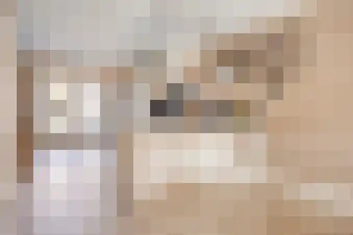 van Middelhovenstraat 41 Axel thumbnail 8