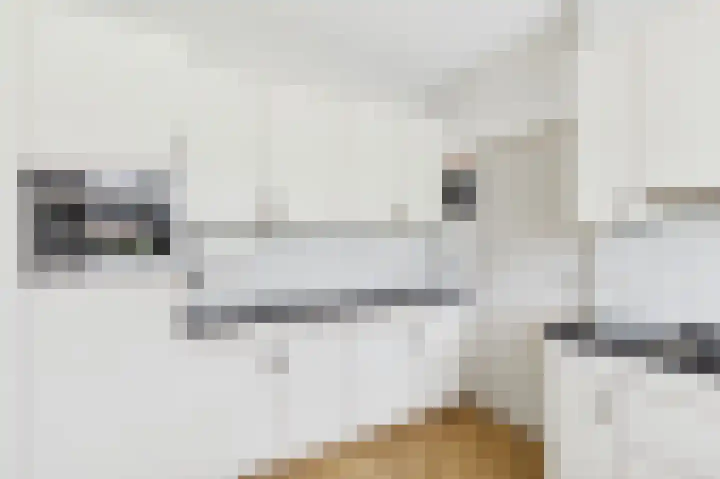 van Middelhovenstraat 46 Axel thumbnail 10