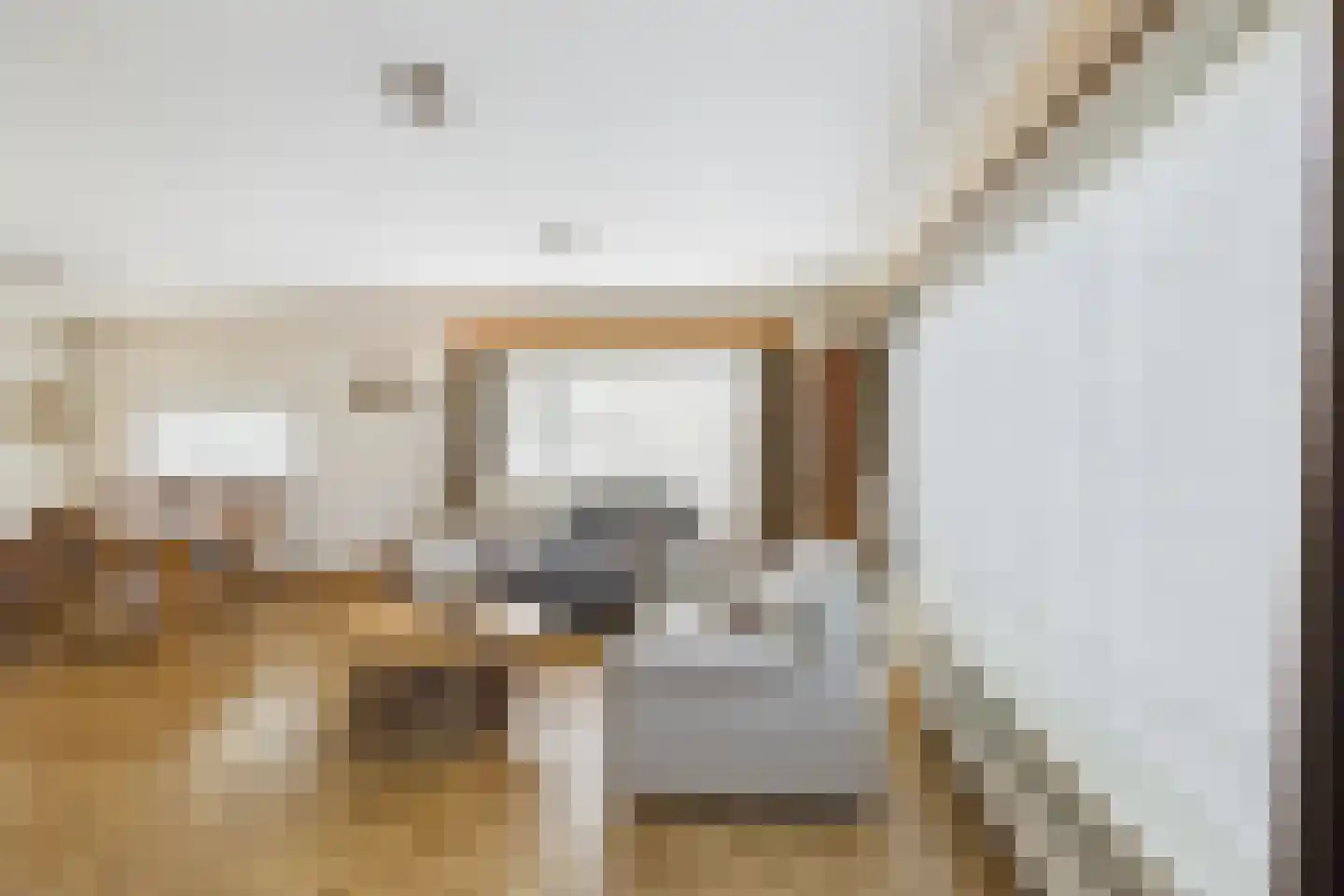 van Middelhovenstraat 46 Axel thumbnail 7