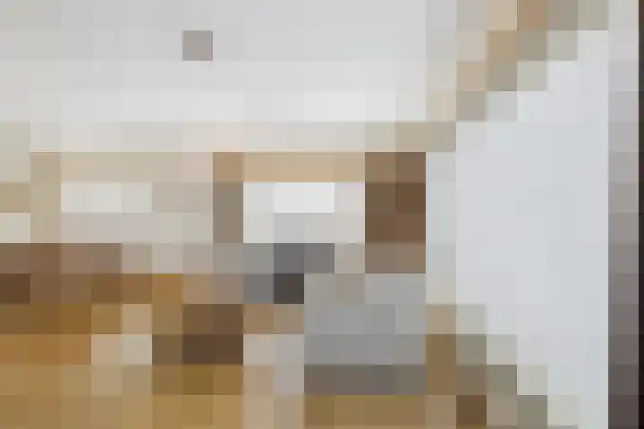 van Middelhovenstraat 46 Axel thumbnail 8