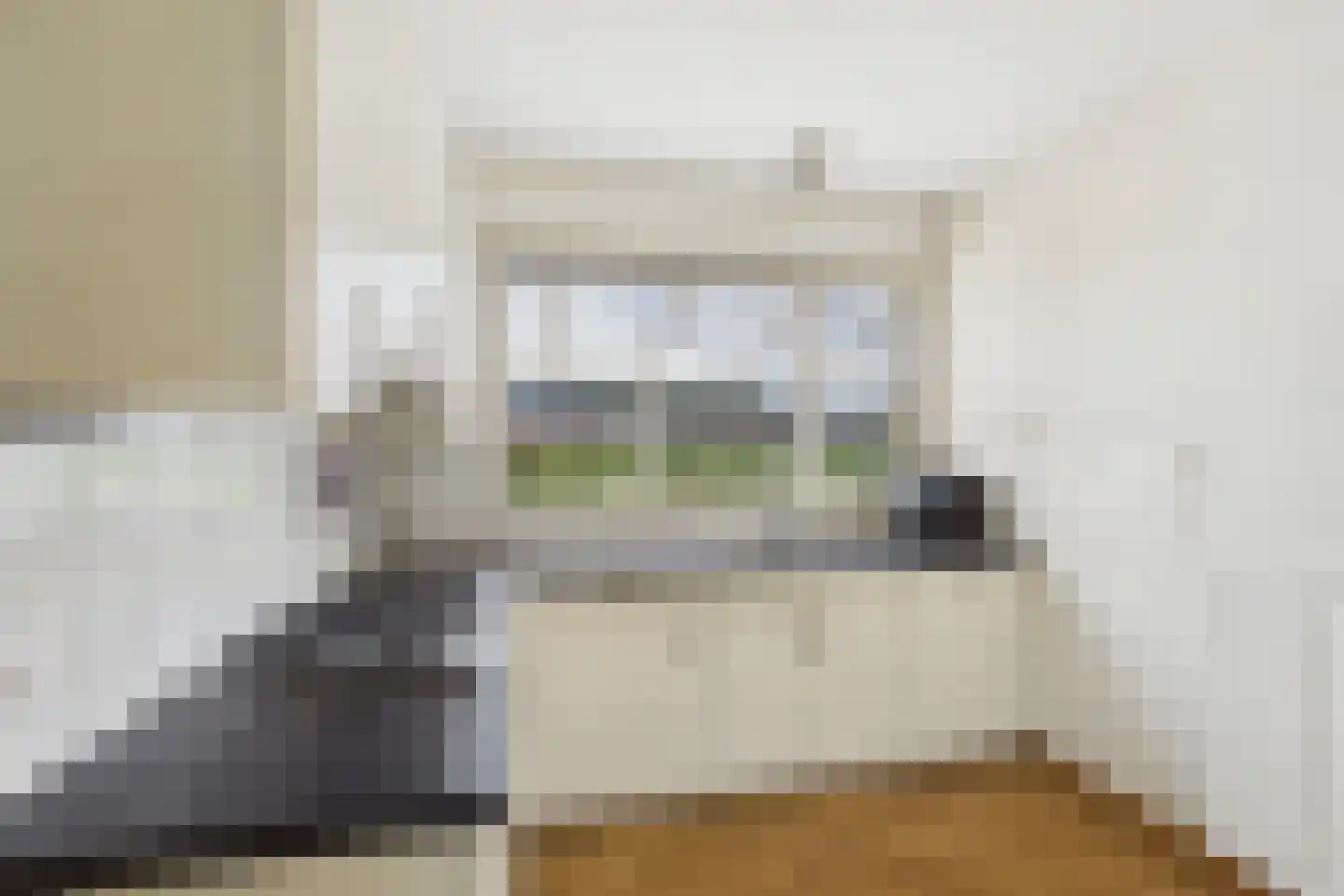 van Middelhovenstraat 46 Axel thumbnail 9