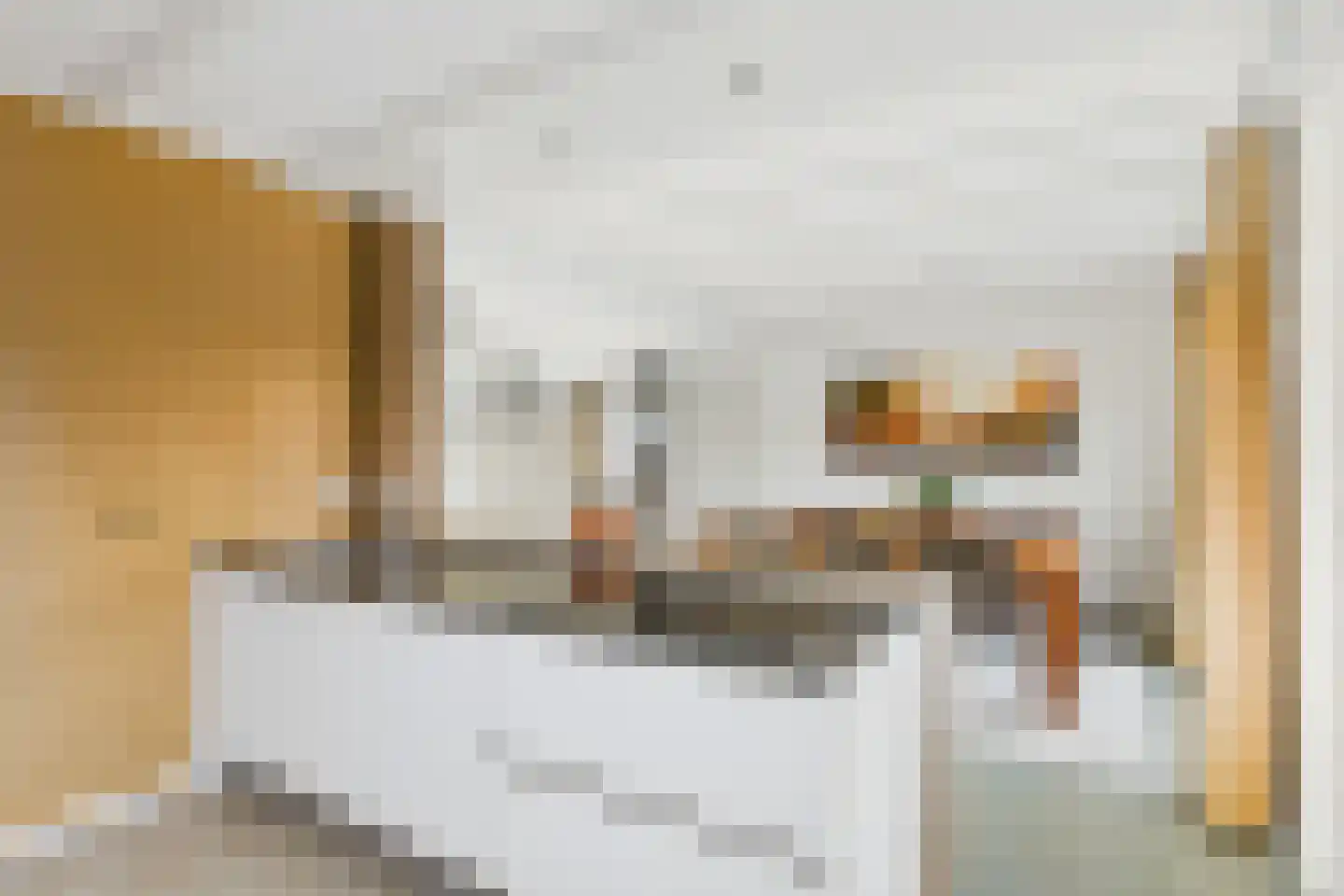 van Middelhovenstraat 49 Axel thumbnail 15