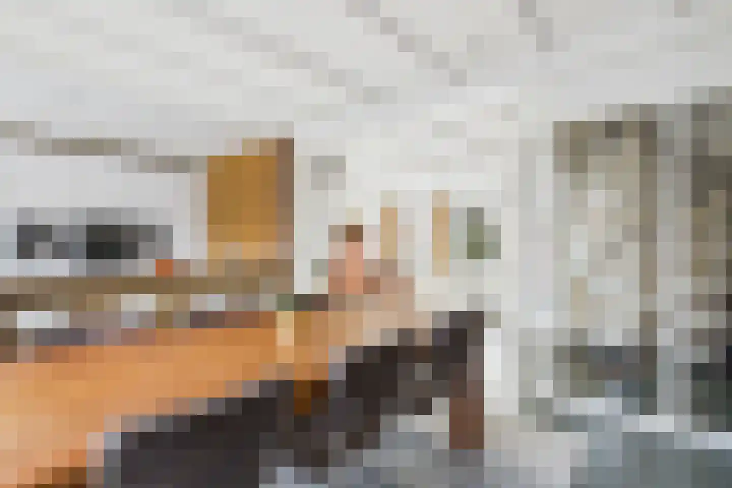 van Middelhovenstraat 49 Axel thumbnail 17