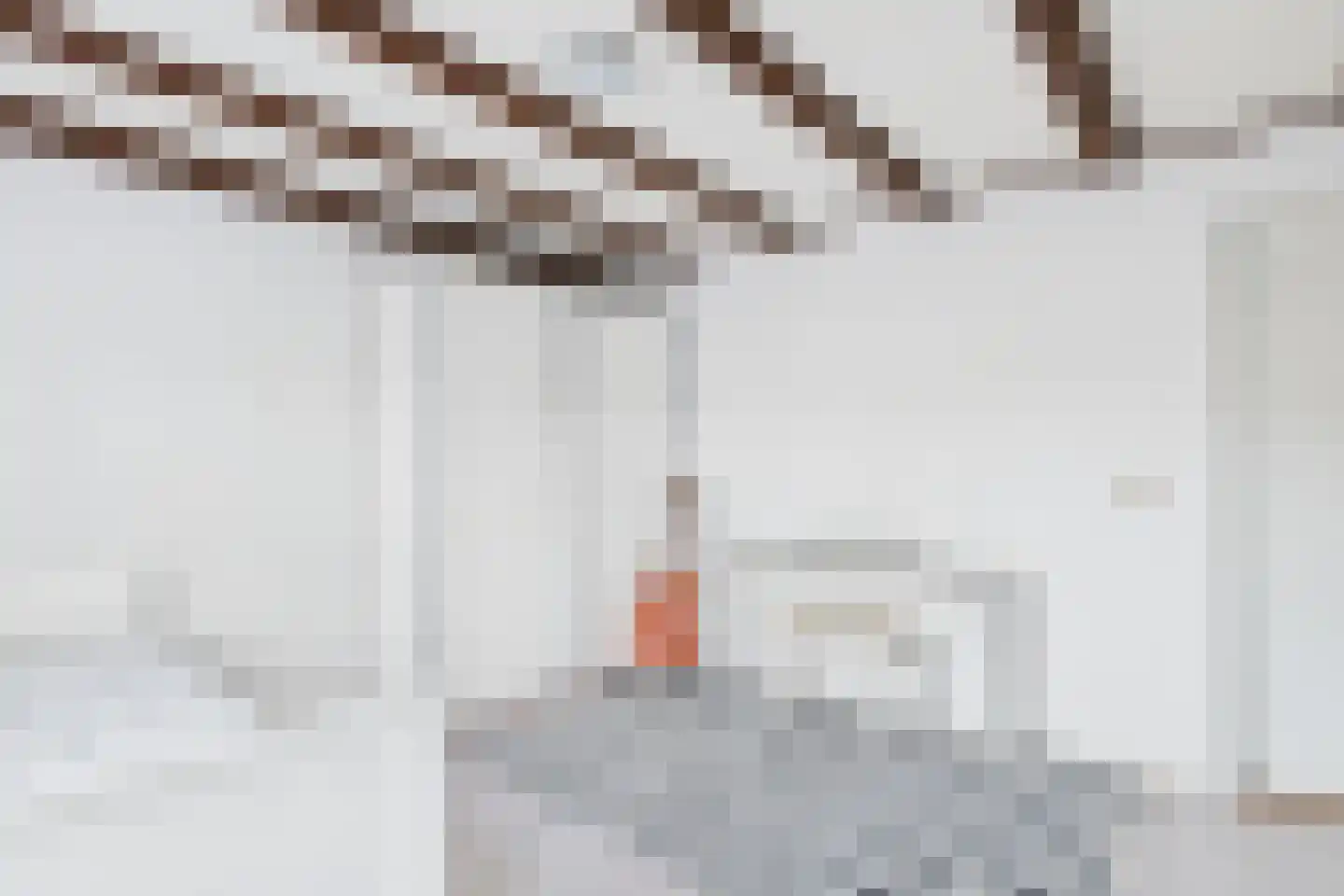 van Middelhovenstraat 49 Axel thumbnail 27