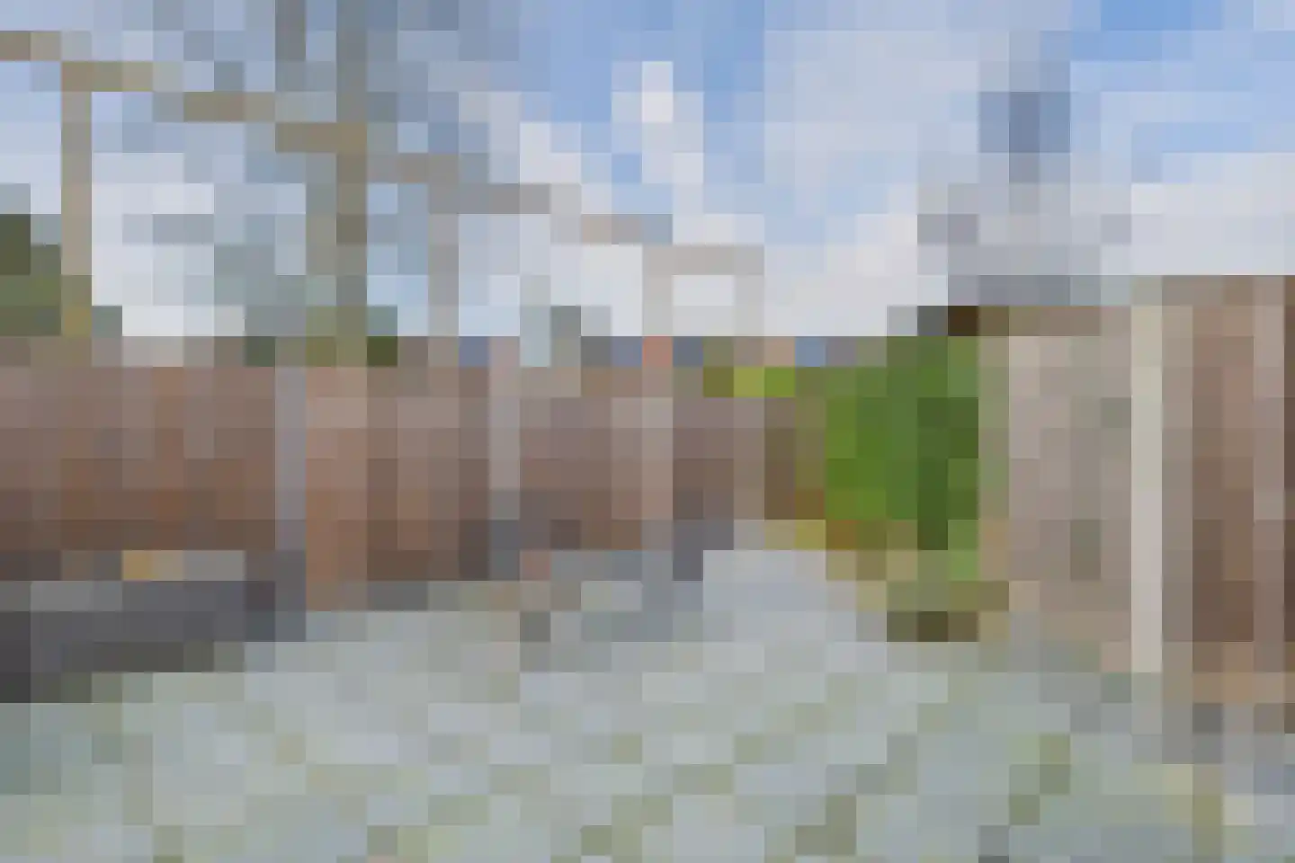 van Middelhovenstraat 49 Axel thumbnail 40