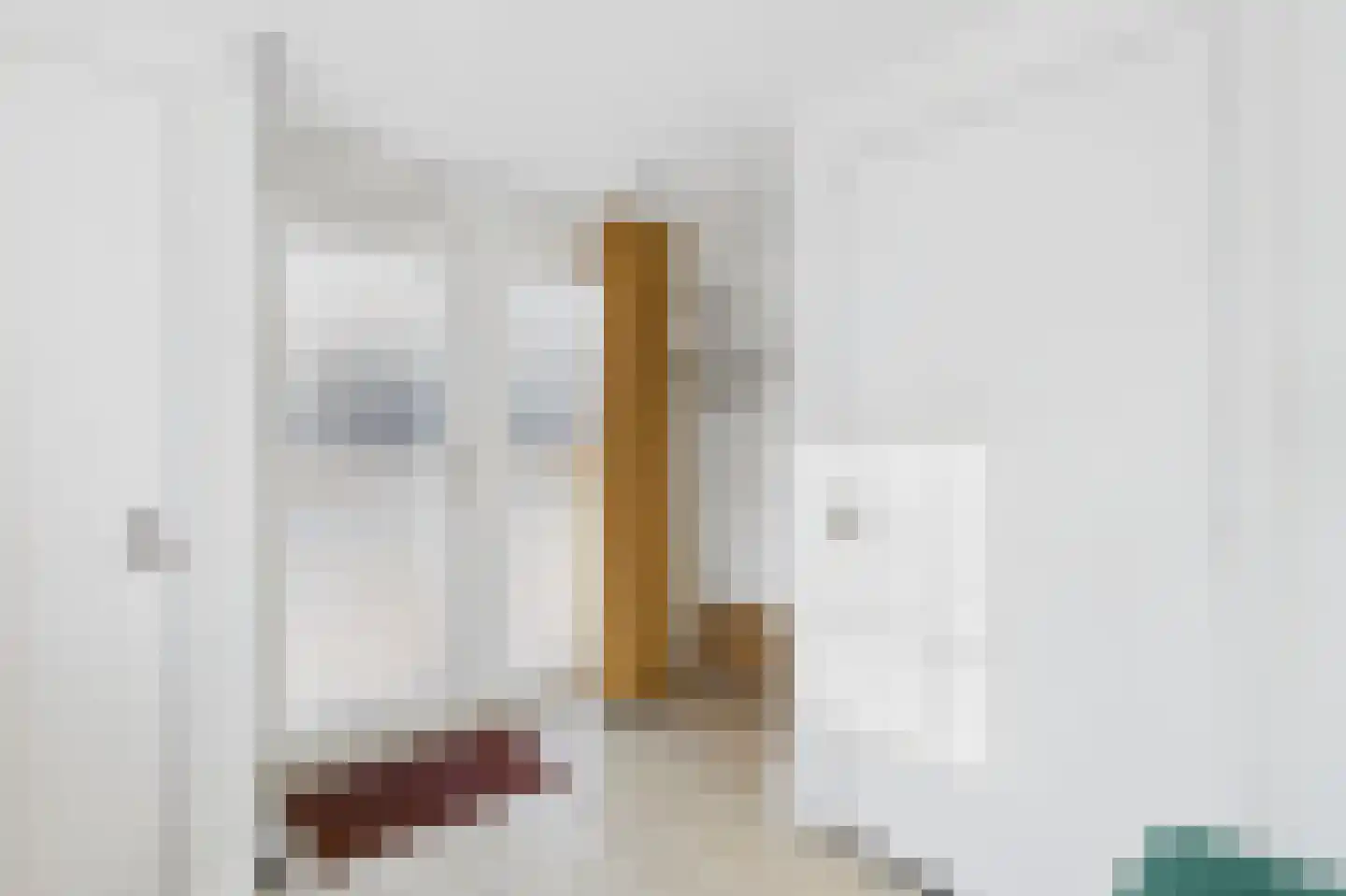 van Middelhovenstraat 49 Axel thumbnail 8