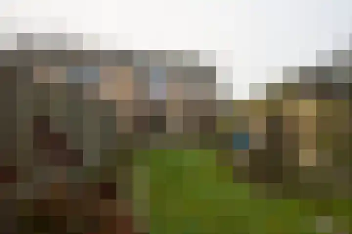 van Middelhovenstraat 67 Axel thumbnail 4