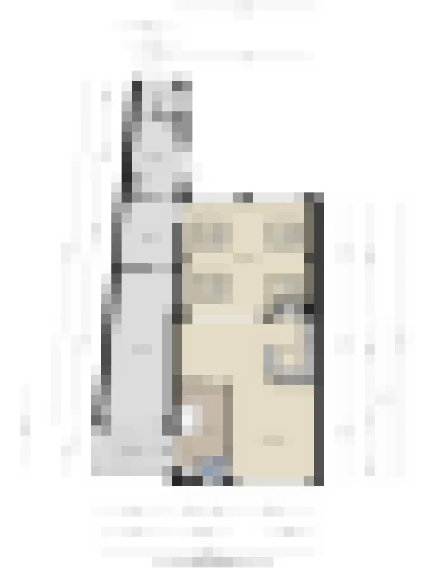 van Middelhovenstraat 75 Axel thumbnail 32