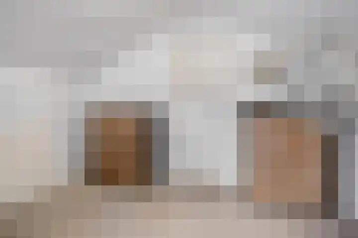 van Middelhovenstraat 81 Axel thumbnail 22