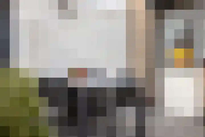 van Middelhovenstraat 81 Axel thumbnail 25