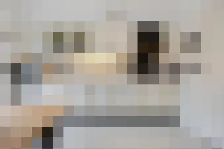van Middelhovenstraat 81 Axel thumbnail 6