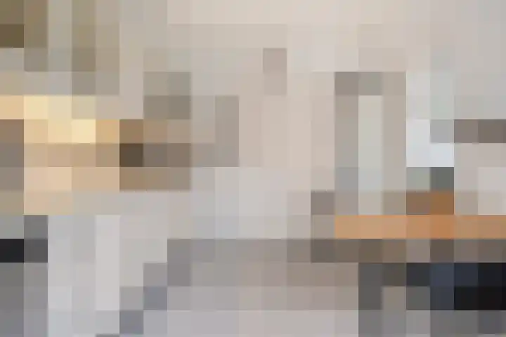 van Middelhovenstraat 81 Axel thumbnail 7