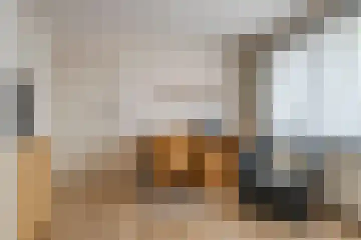 van Middelhovenstraat 99 Axel thumbnail 22