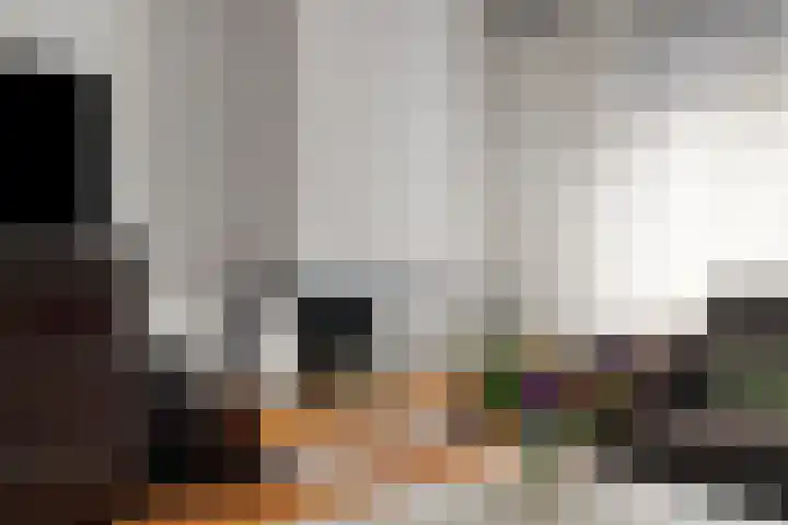 van Middelhovenstraat 99 Axel thumbnail 7