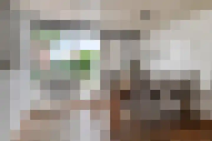 van Middelhovenstraat 99 Axel thumbnail 8