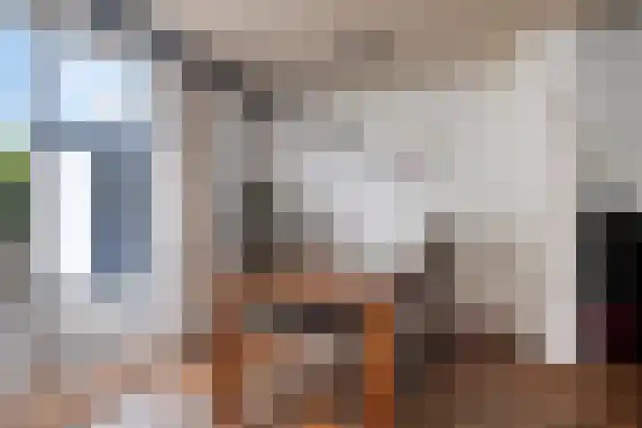 van Middelhovenstraat 99 Axel thumbnail 9