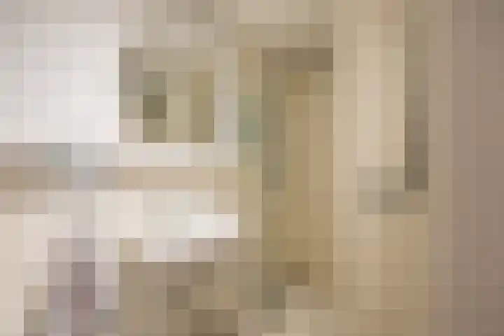 Van Miereveldstraat 7 Amsterdam thumbnail 11