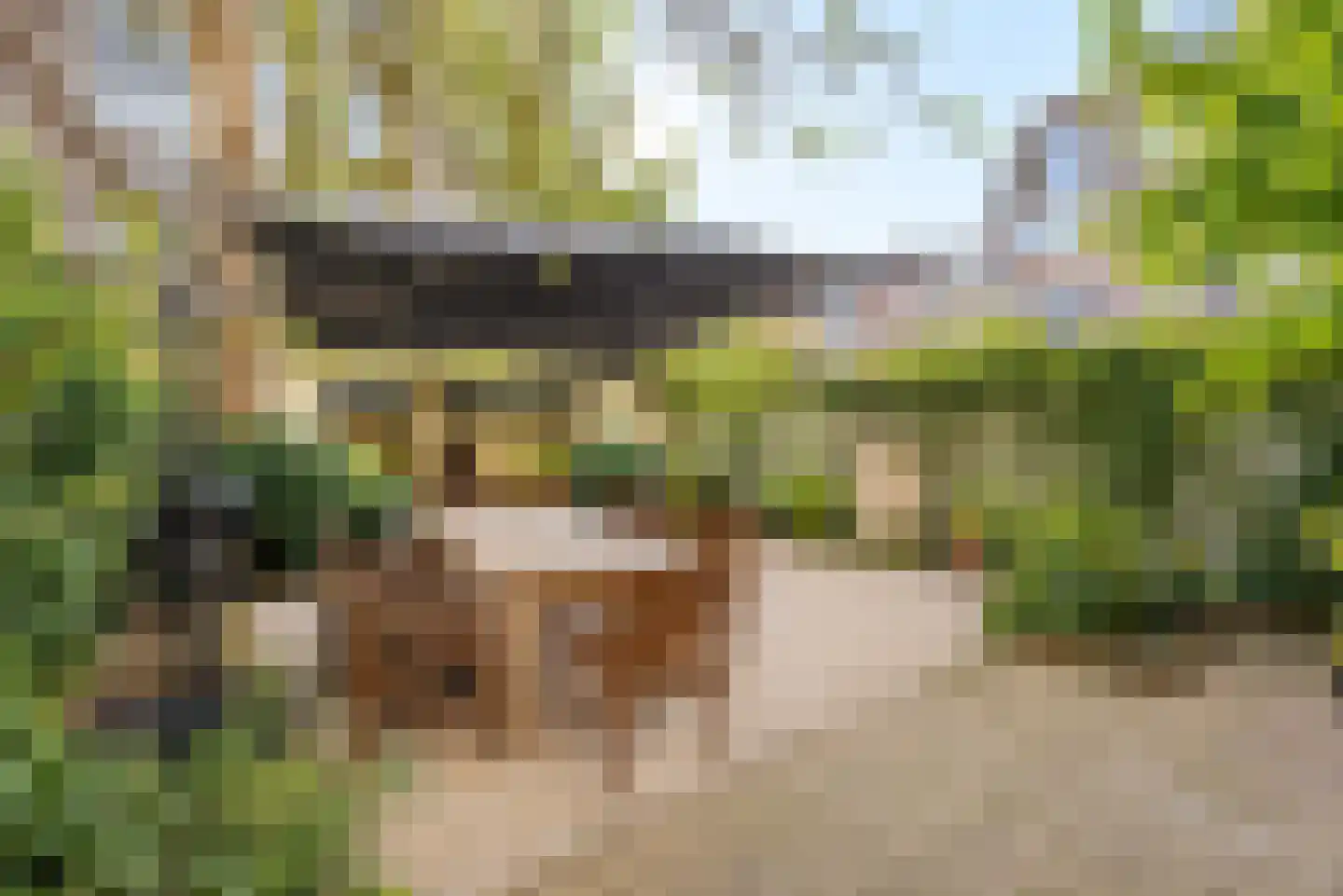 Van Miereveldstraat 7 Amsterdam thumbnail 14
