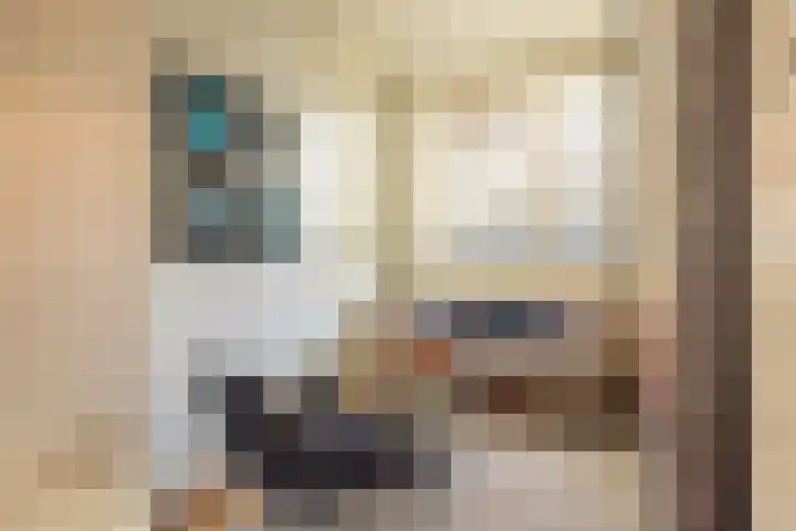 Van Miereveldstraat 7 Amsterdam thumbnail 14