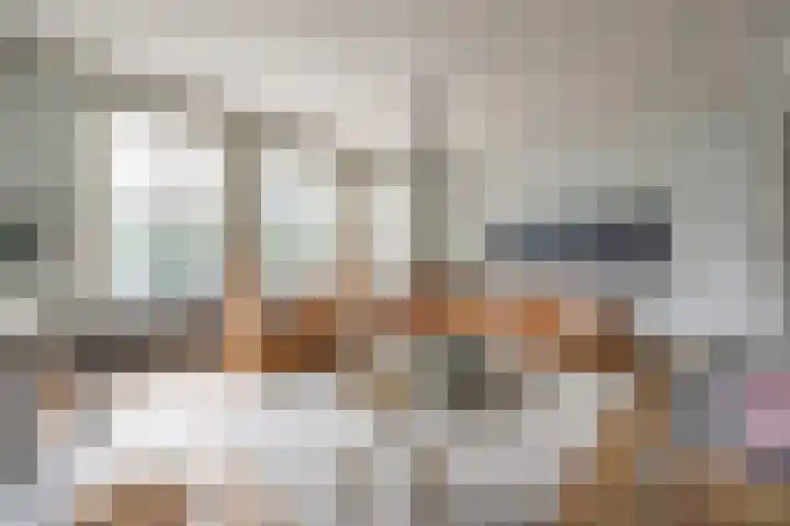 Van Miereveldstraat 7 Amsterdam thumbnail 15