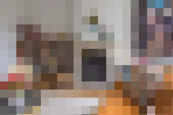 Van Miereveldstraat 7 Amsterdam thumbnail 17
