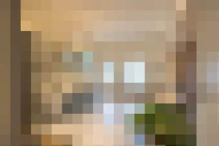 Van Miereveldstraat 7 Amsterdam thumbnail 25