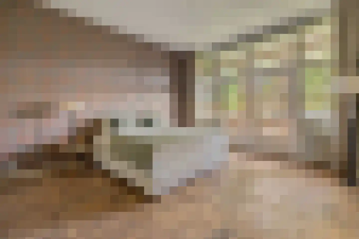 Van Miereveldstraat 7 Amsterdam thumbnail 32
